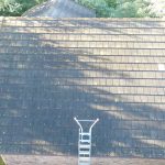 Texas Roof Cleaning Pros