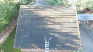 Texas Roof Cleaning Pros