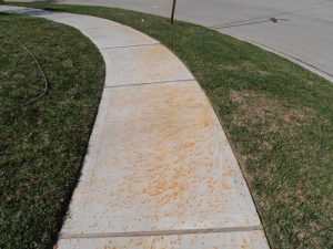 Sidewalk fertilizer stain texas